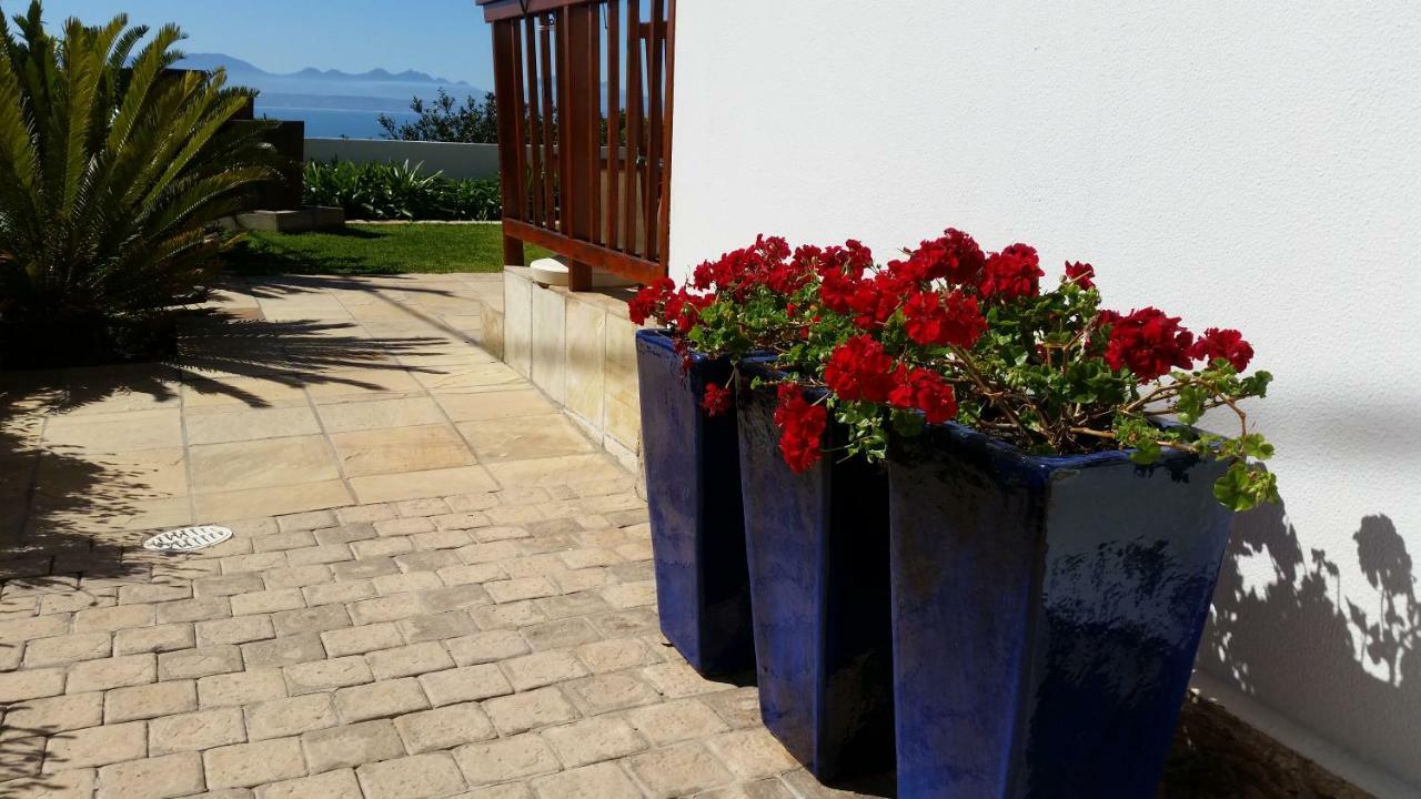 Aquamarine Guest House Mosselbaai Buitenkant foto